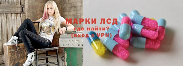 шишки Инсар