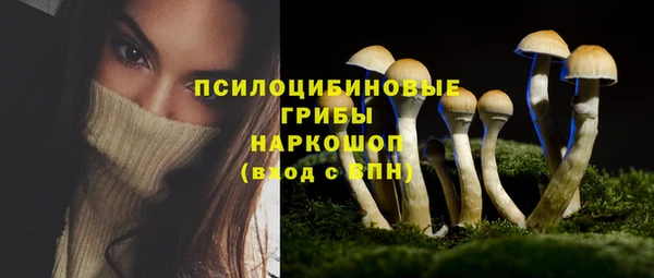 трава Каменка
