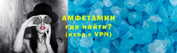 шишки Инсар