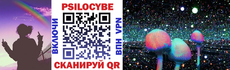 Галлюциногенные грибы Psilocybine cubensis  Короча 